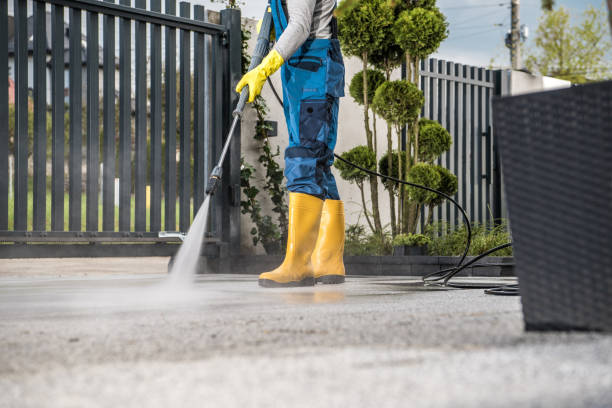 Best Building Exterior Washing  in Walden, NY